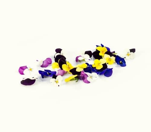 Edible Violets