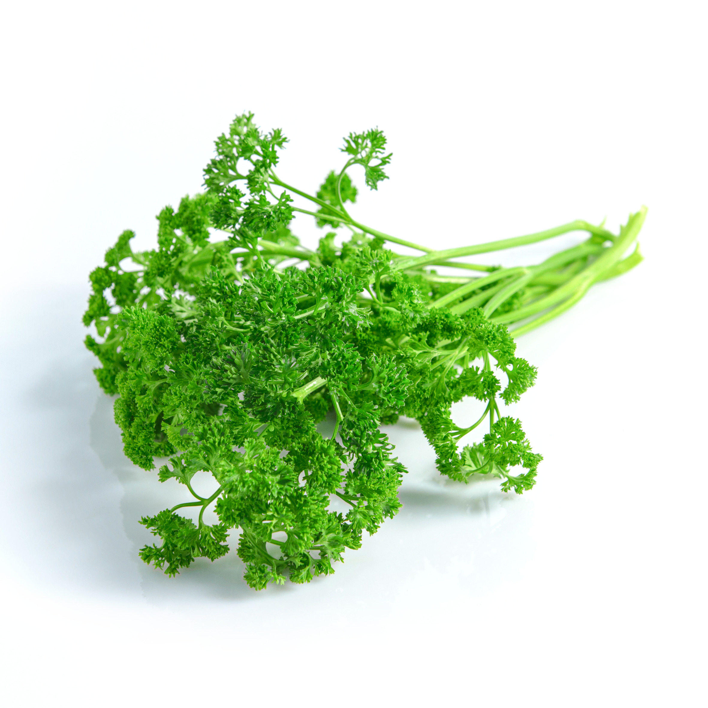 Parsley