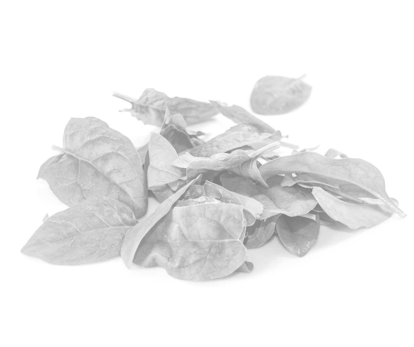 Mesclun Viva Italia 8x125g