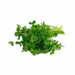Persil plat