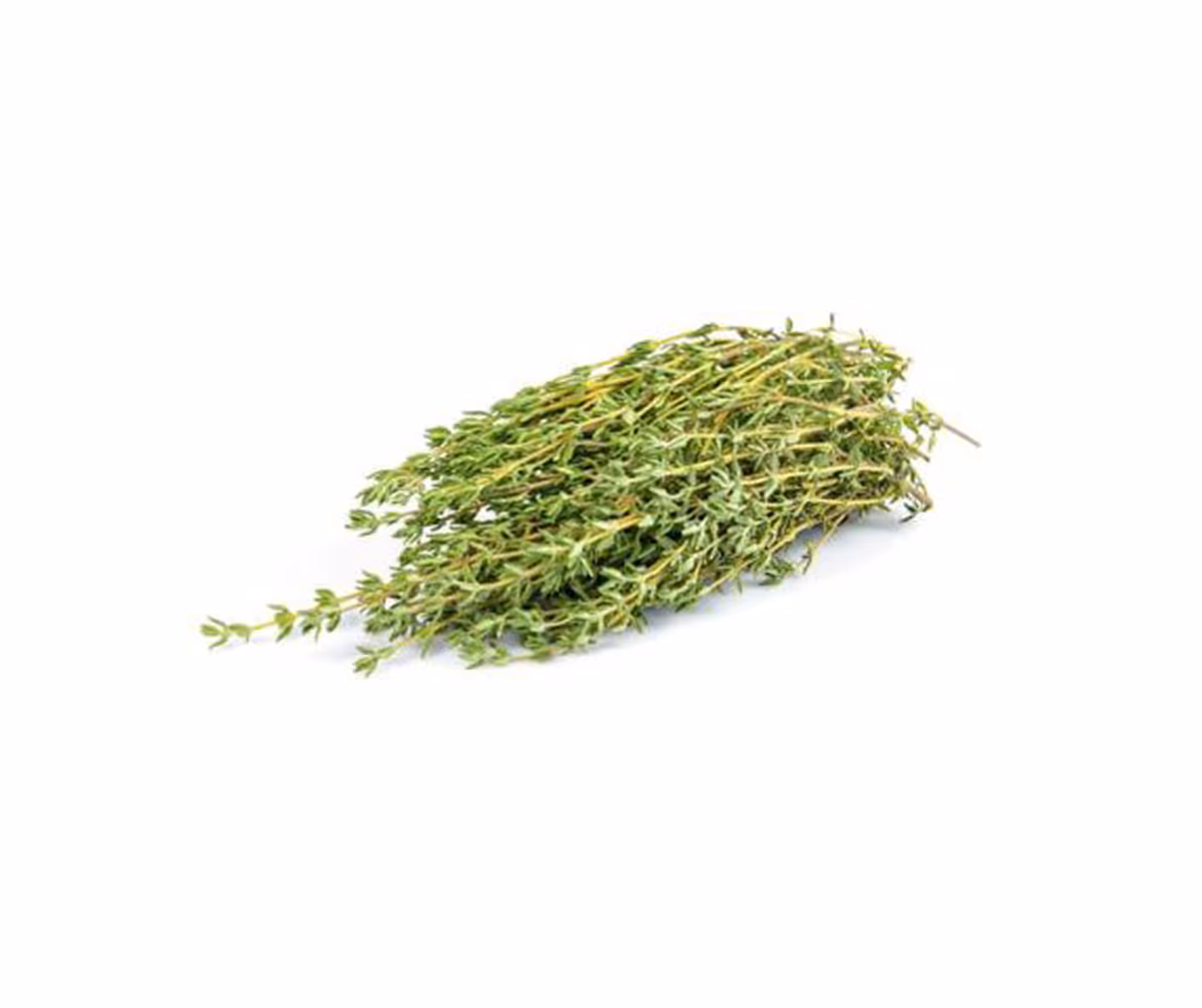 Thym citron