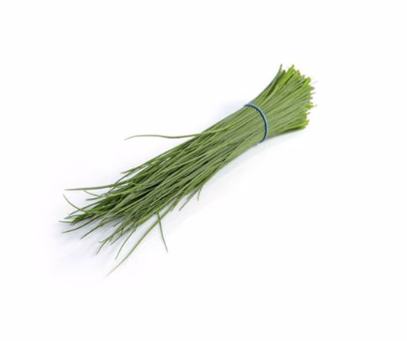 Ciboulette