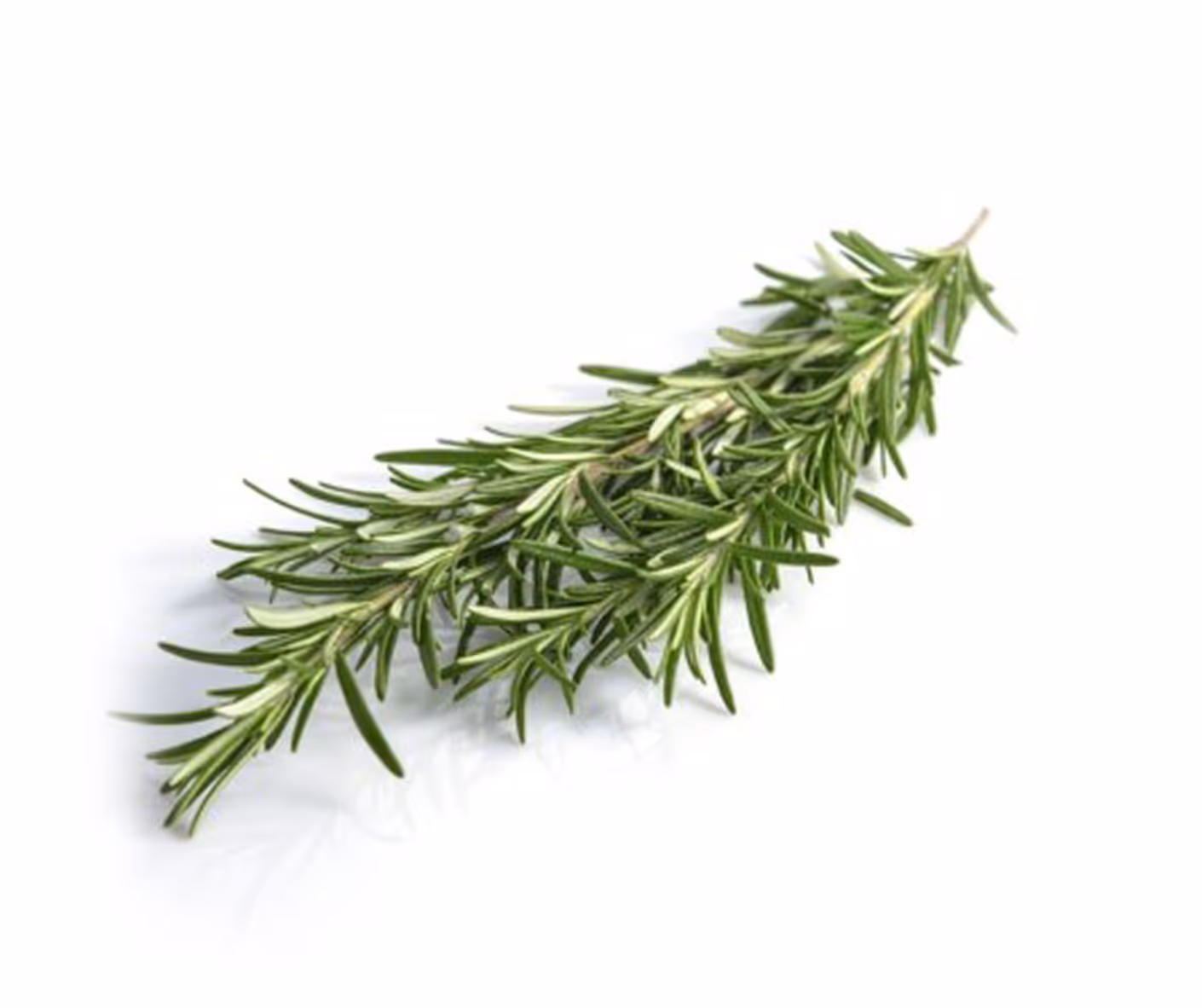 Rosemary