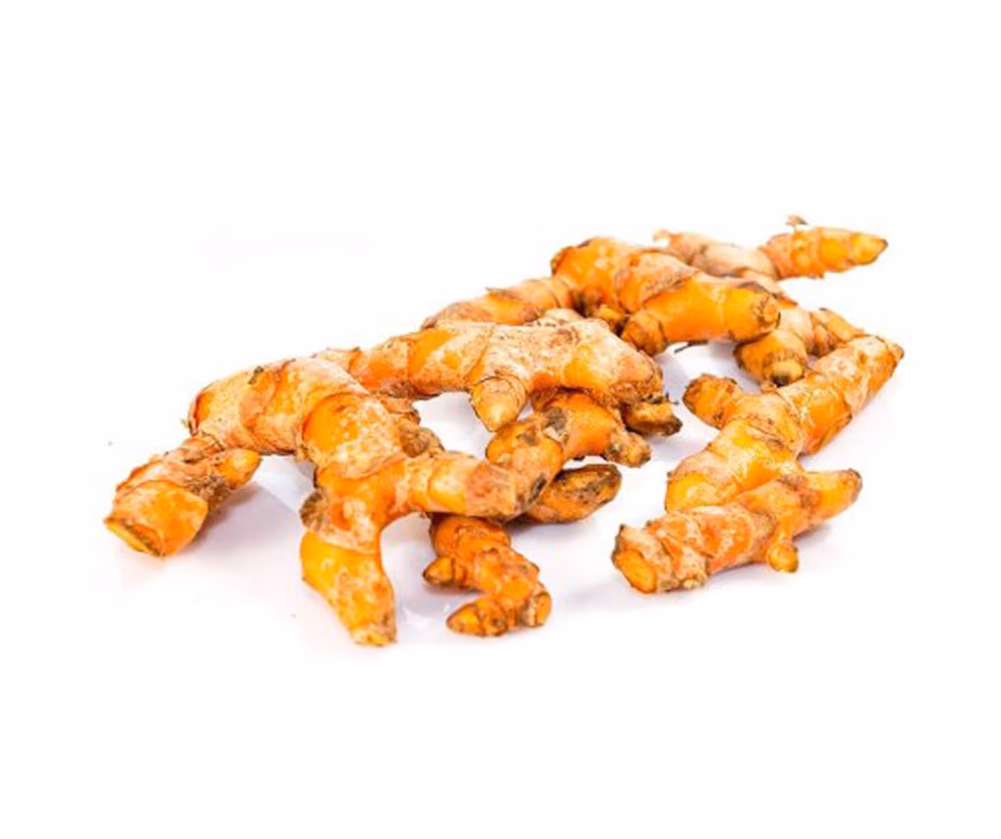 Curcuma