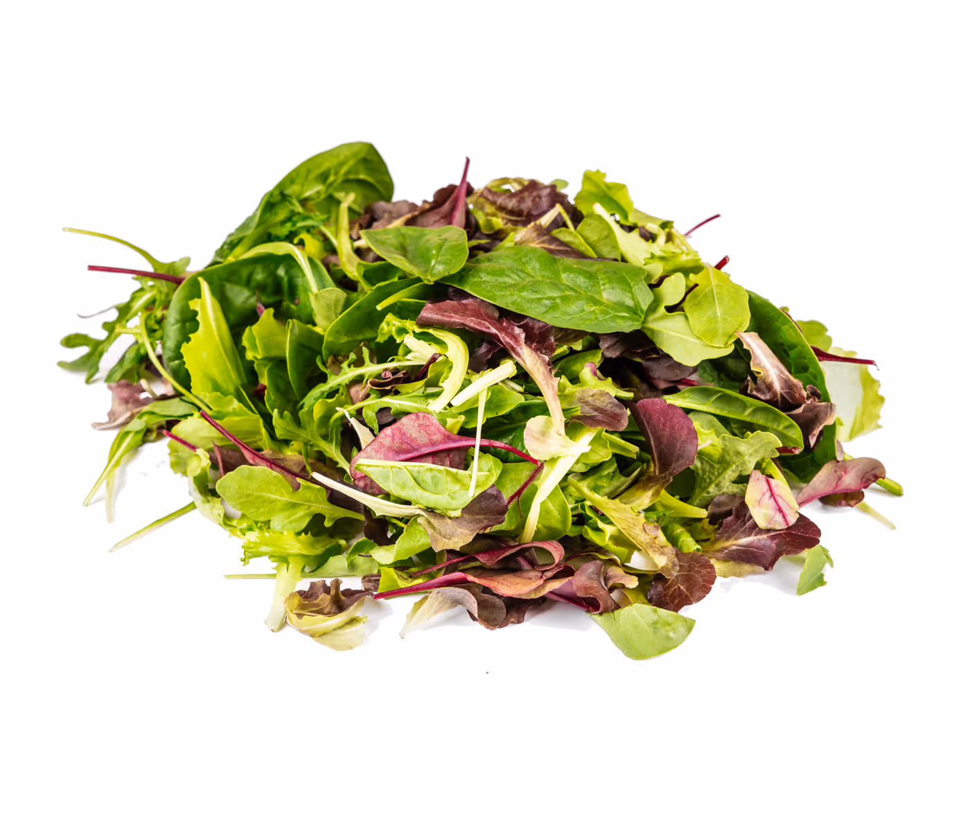 Mesclun salade