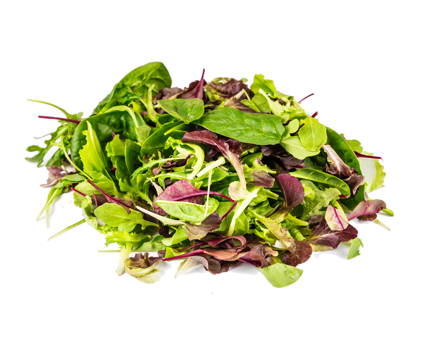 Salade mesclun