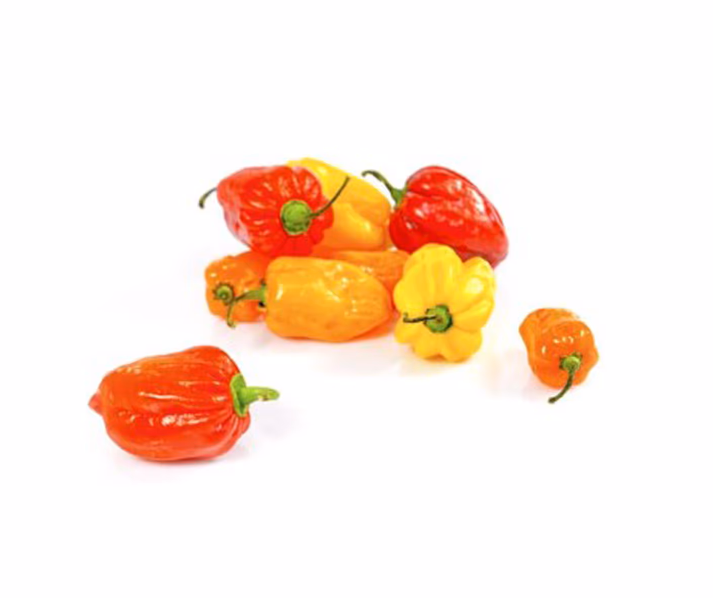 Piment habanero (rouge et jaune)