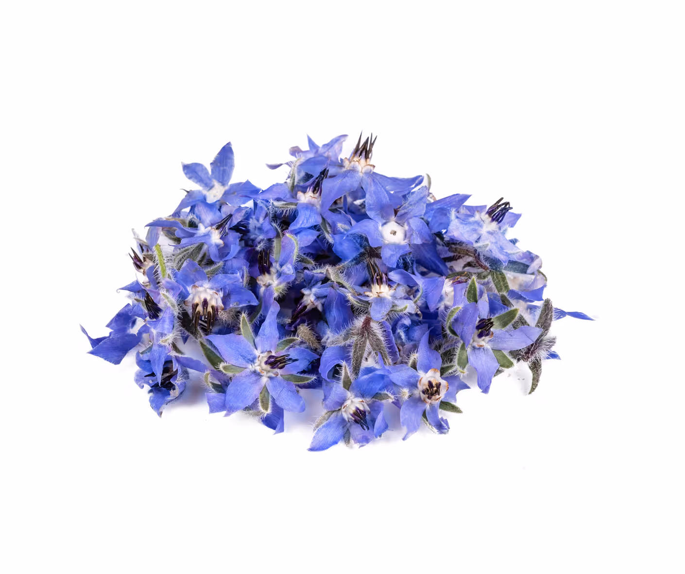 Borage