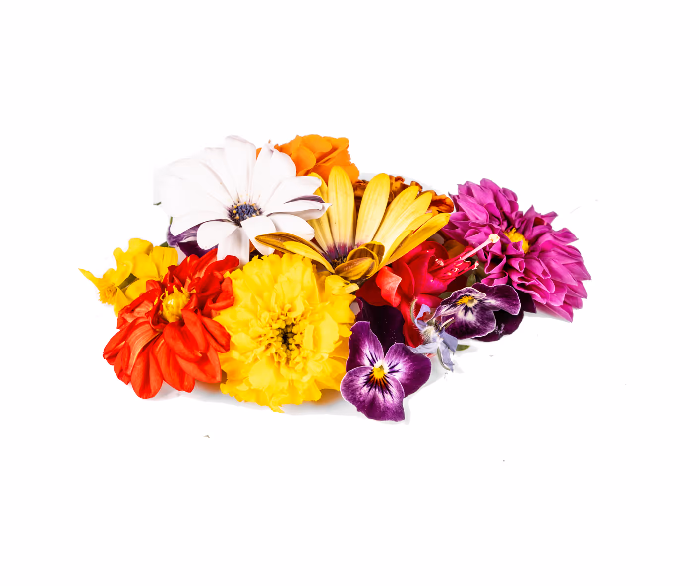 Mélange de fleurs