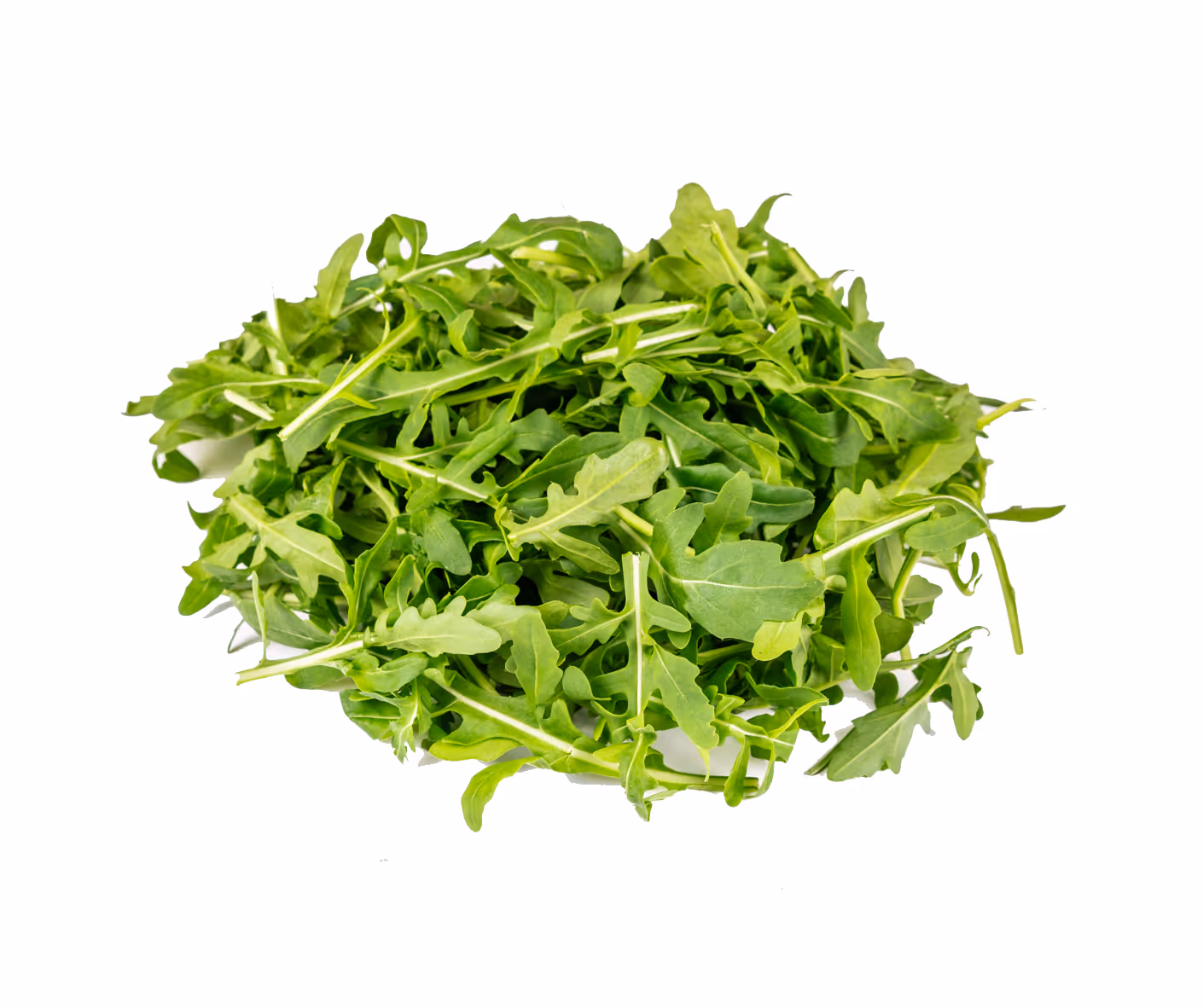 Roquette