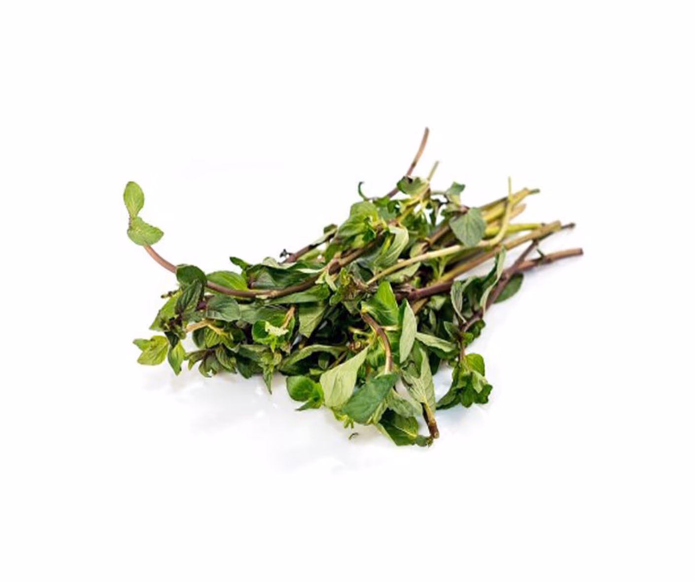 Menthe poivrée