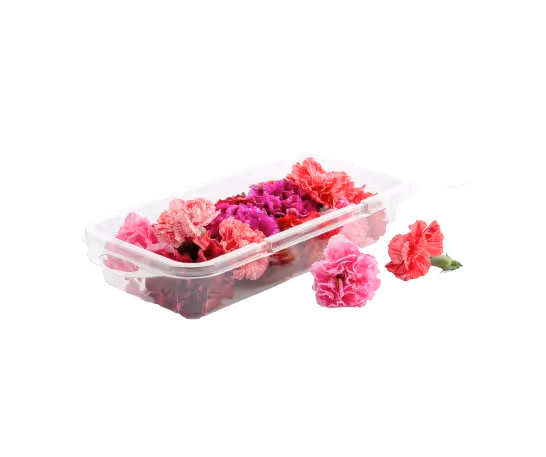 Eetbare bloemen