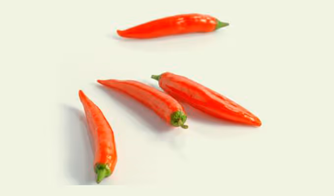 Chilipeper kopen