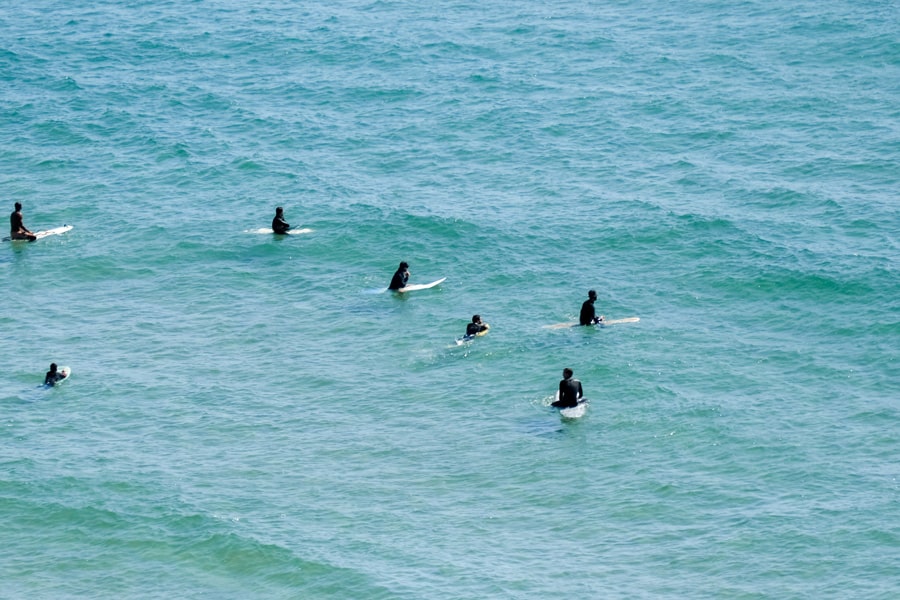 image of an educational workshop in progress outdoors