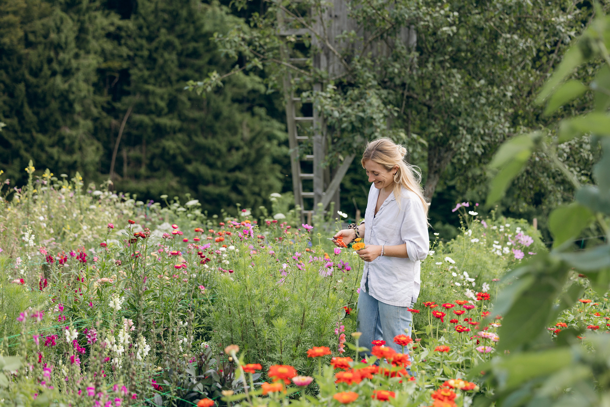 image of community outreach (for a mosque)