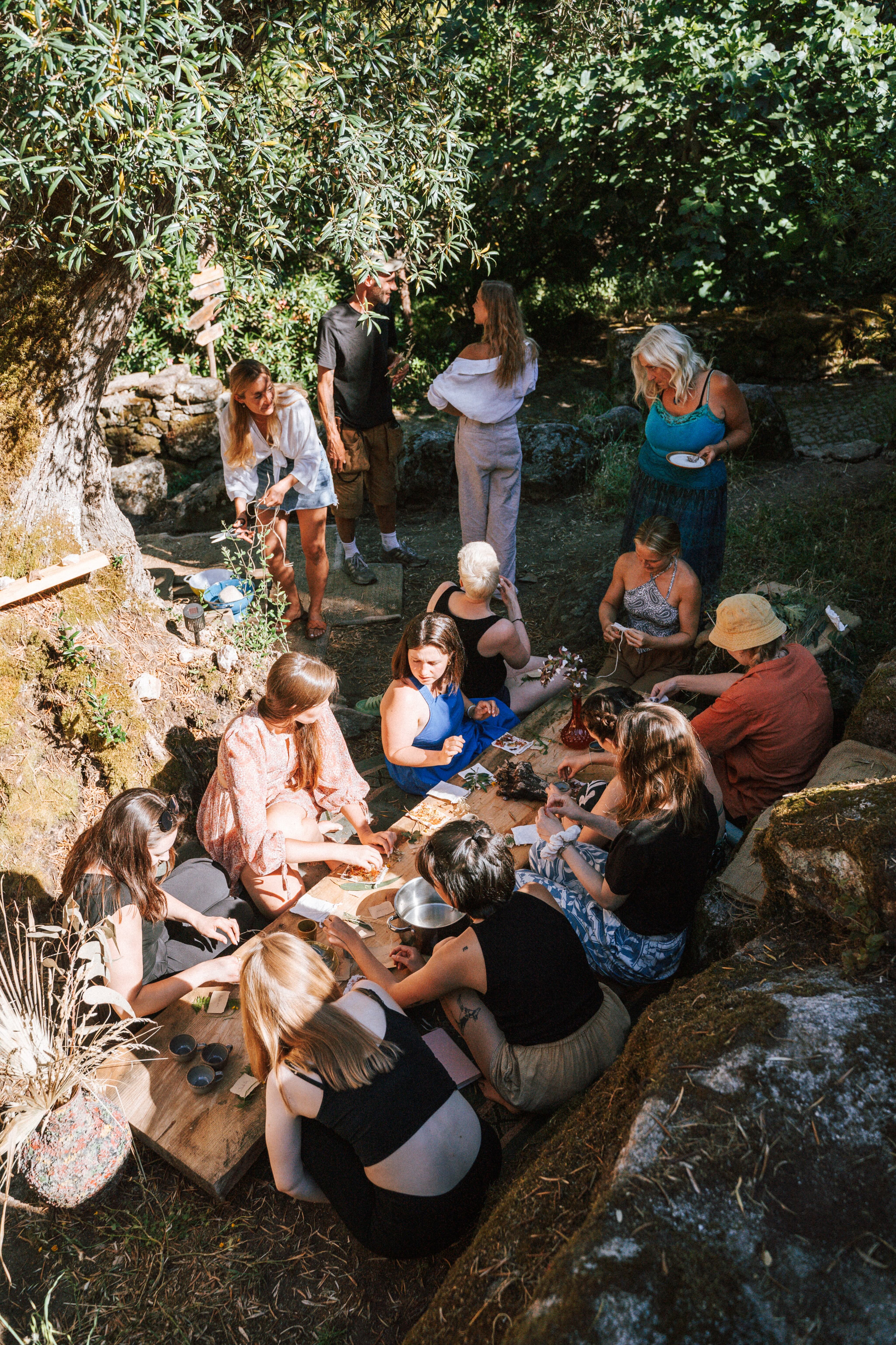 image of a beautifully plated sushi dish (for a japanese restaurant)