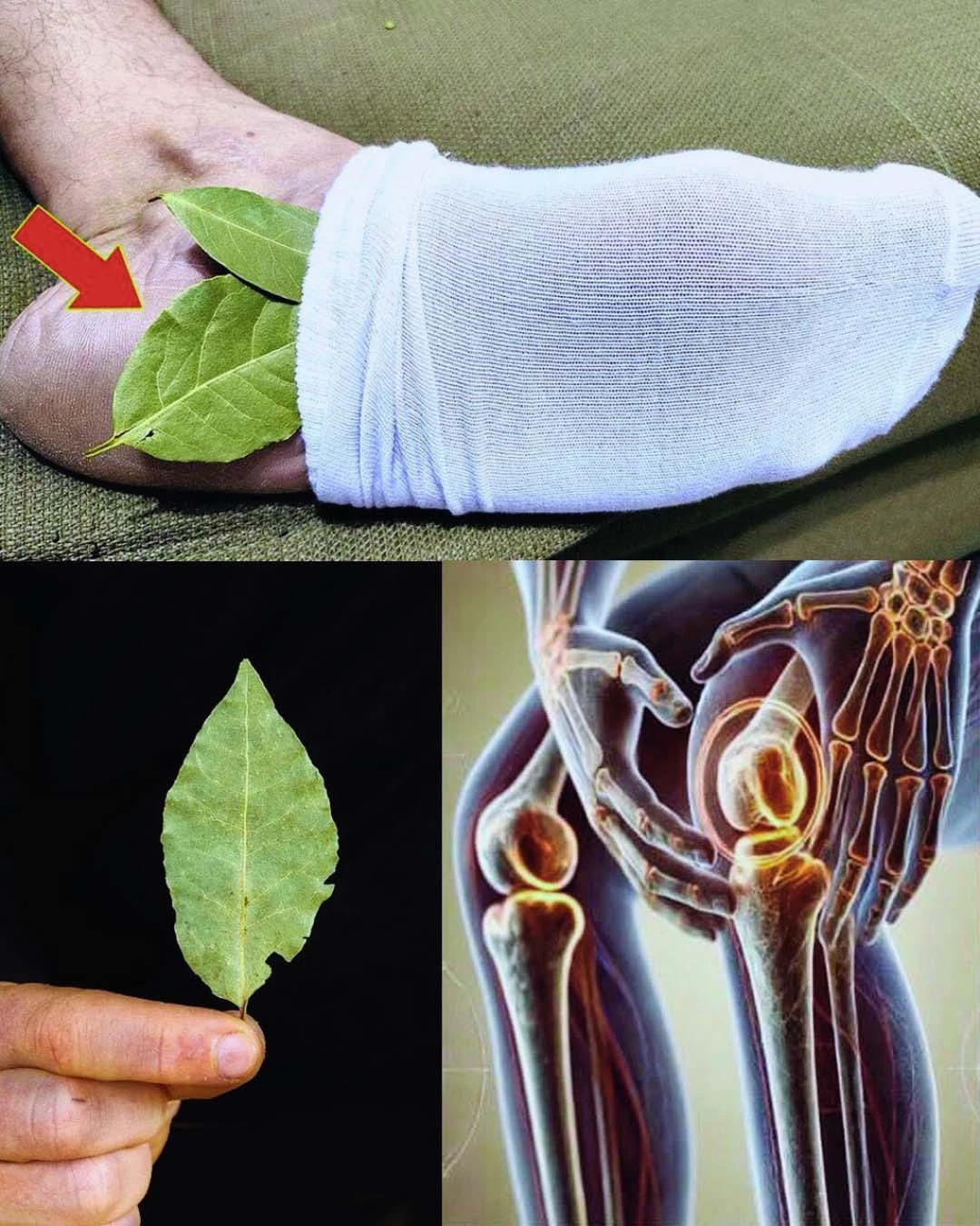 Person placing dried bay leaf under foot before bedtime for natural pain relief