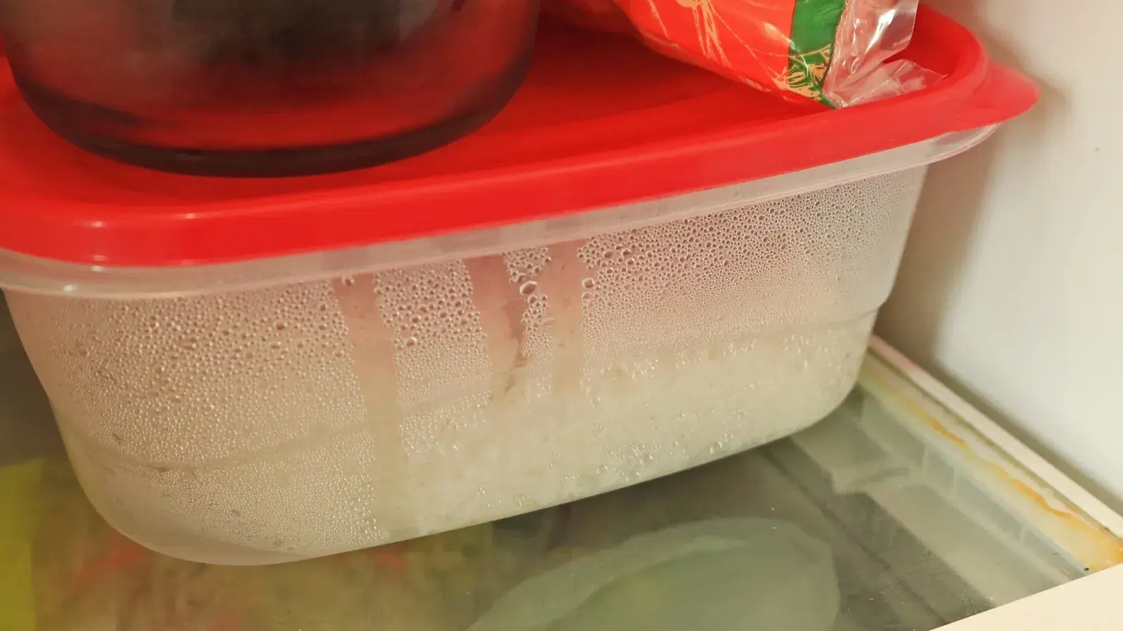 Cooked rice storage and food safety guidelines