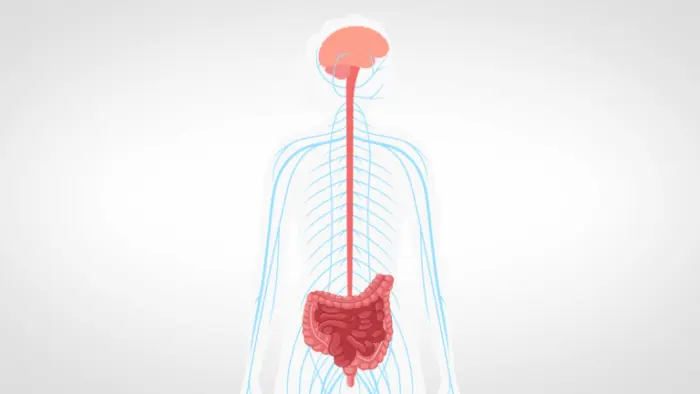 Scientific comparison of gut health in different age groups