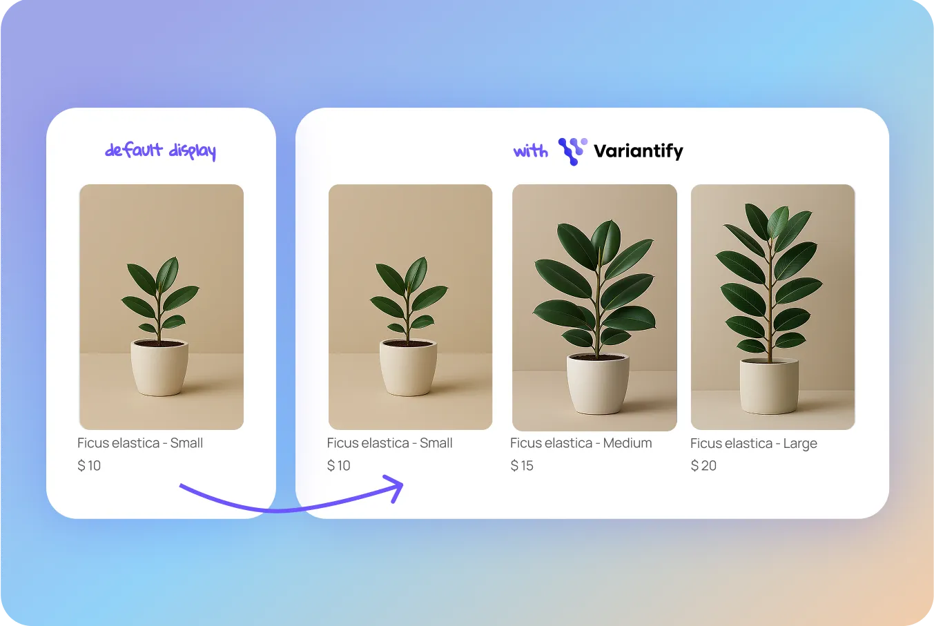 size variant display