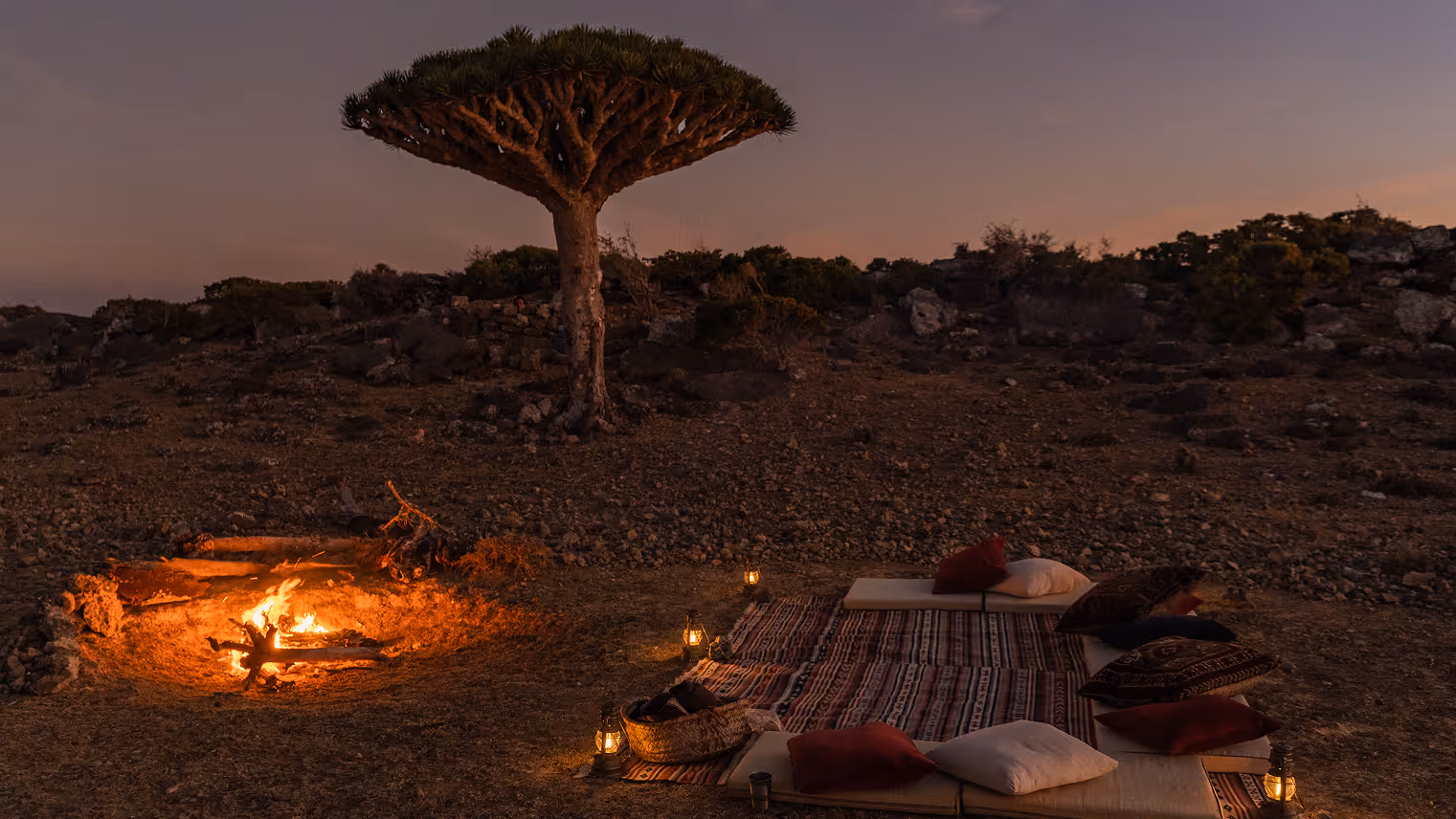 Frontier Expeditions Campfire 