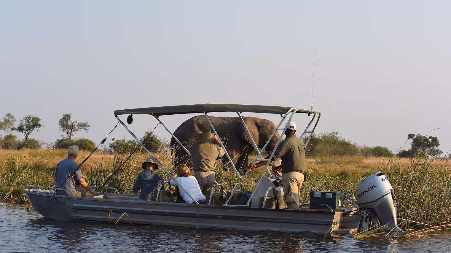 Guiding in the Okavango Delta