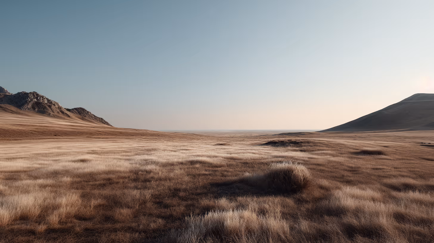 Wide open plains with golden dry grass stretching to the horizon, framed by soft hills under a pale blue sky at dawn.