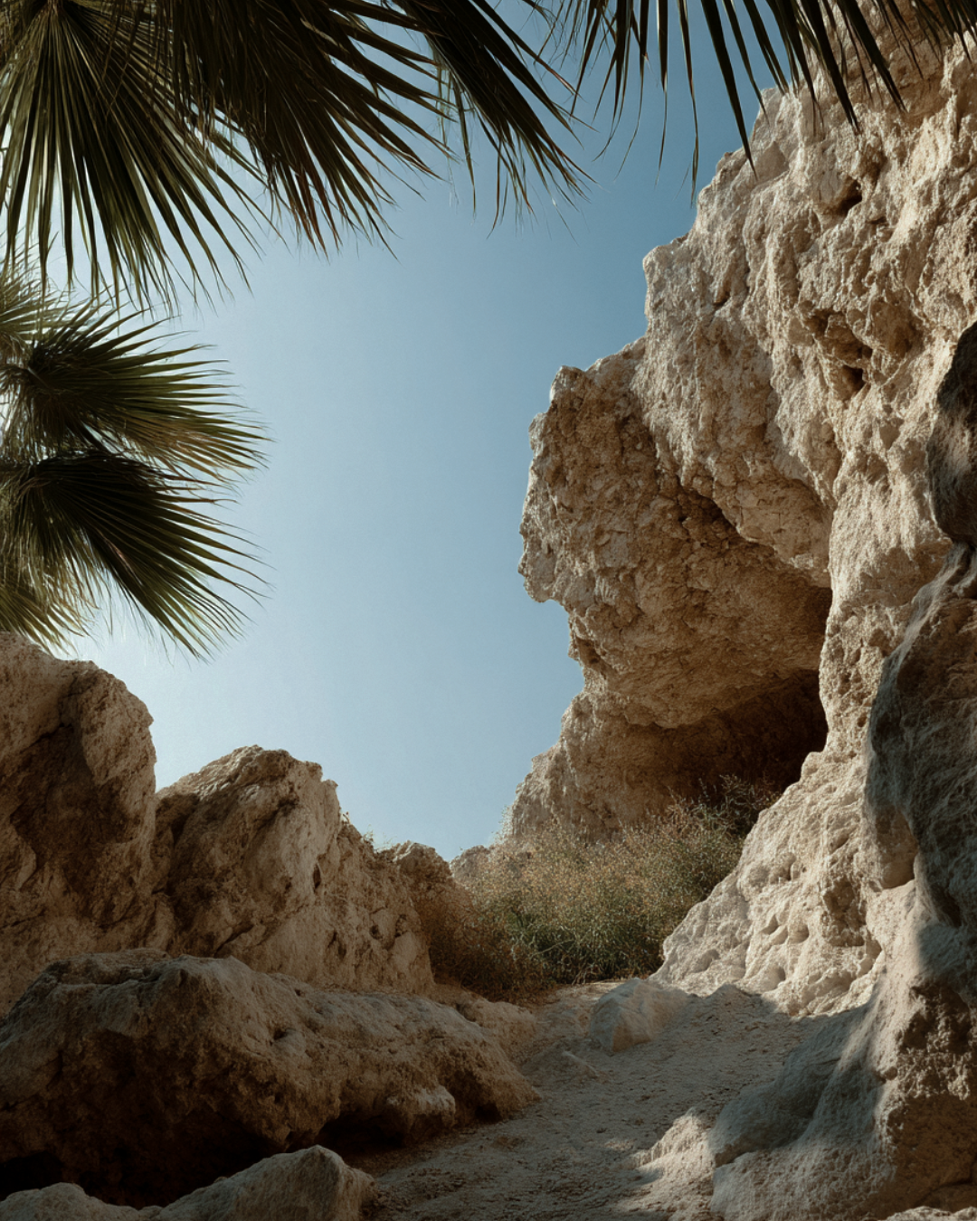 View of rocky desert passage with clear blue sky and palm leaves, representing raw nature in CINCH’s Summer, Restrained visual series.