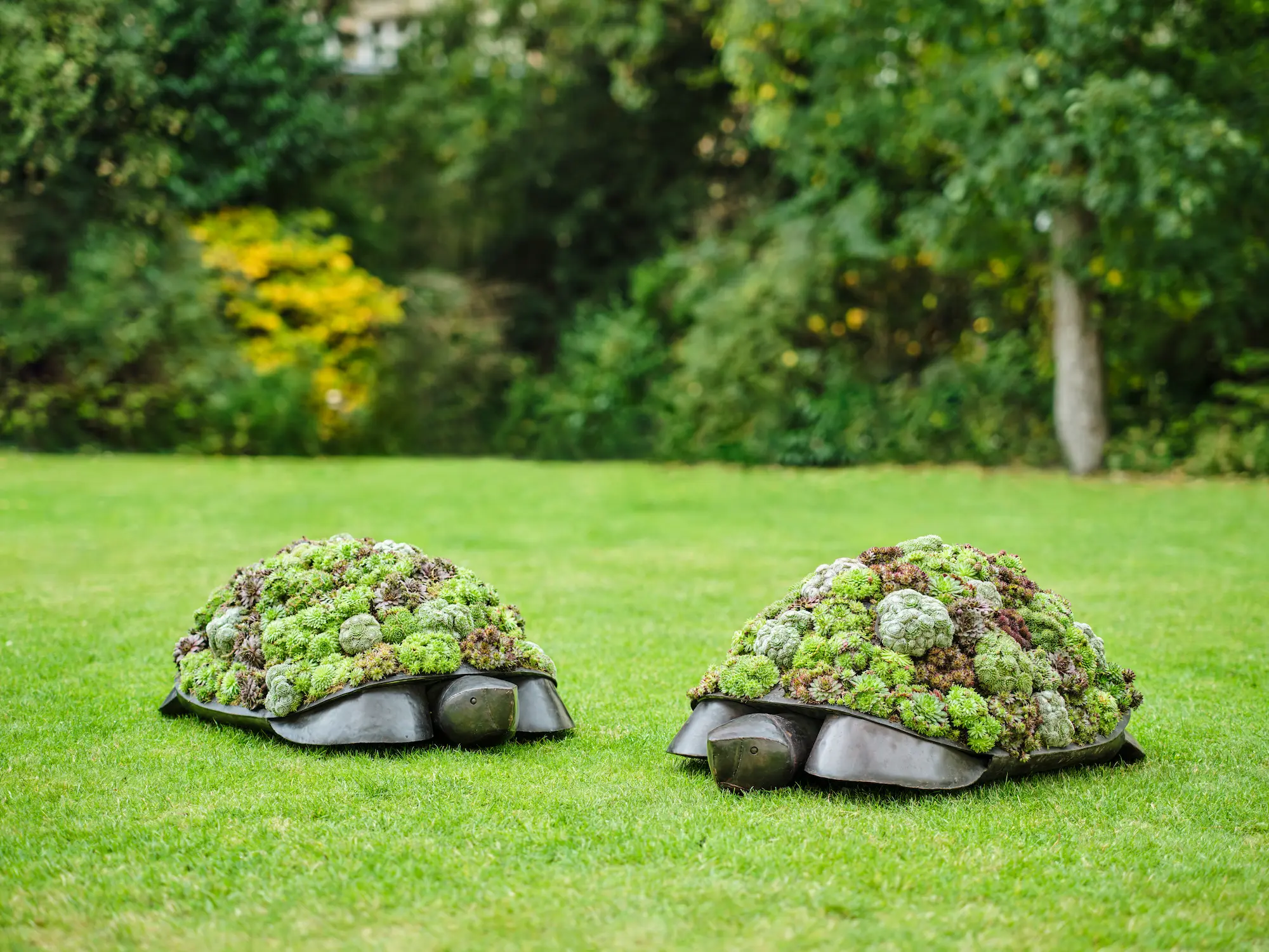Two whimsical tortoise sculptures covered in living greenery displayed on the lawn at Design Miami.Paris 2025, presented by Galerie Mitterrand as part of its Lalanne-inspired installation.