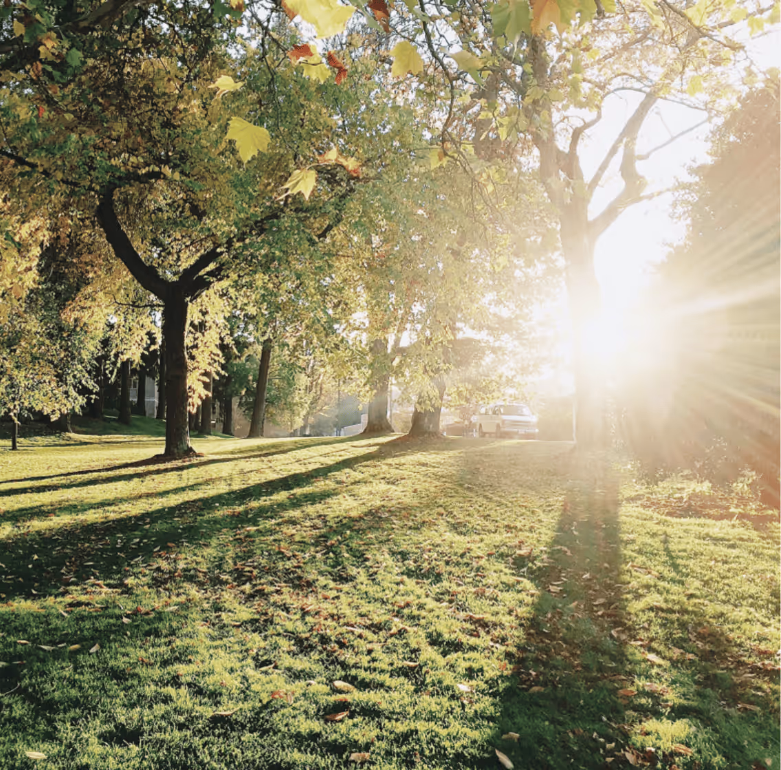 Silva Haarlem impressie