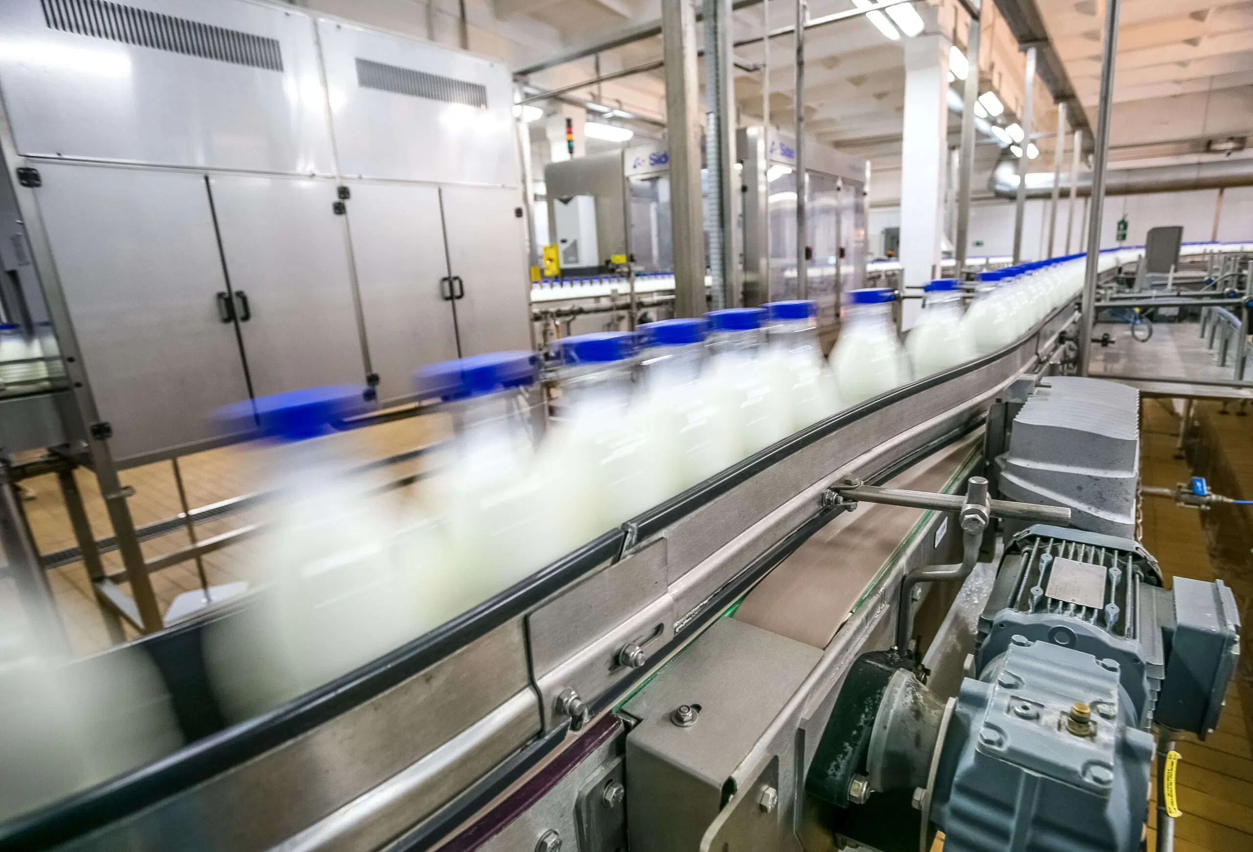 Industriële melkveehouderij (Europa)