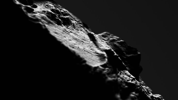 Nacoa BioChar close up