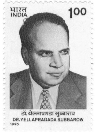 Dr. Yellapragada Subbarow