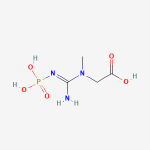 Phosphocreatine molecular structure