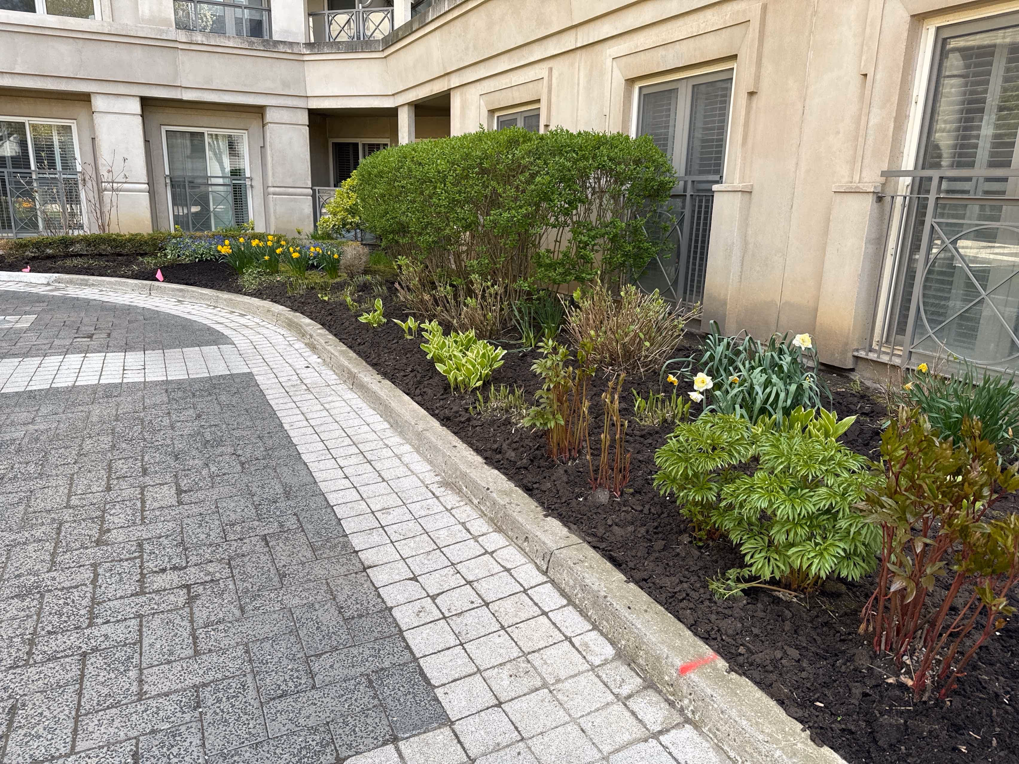 Containing Black Mulch, Perrenials and hedges this garden bed alongside the stone walkway provides elegance to this condominium commercial property.