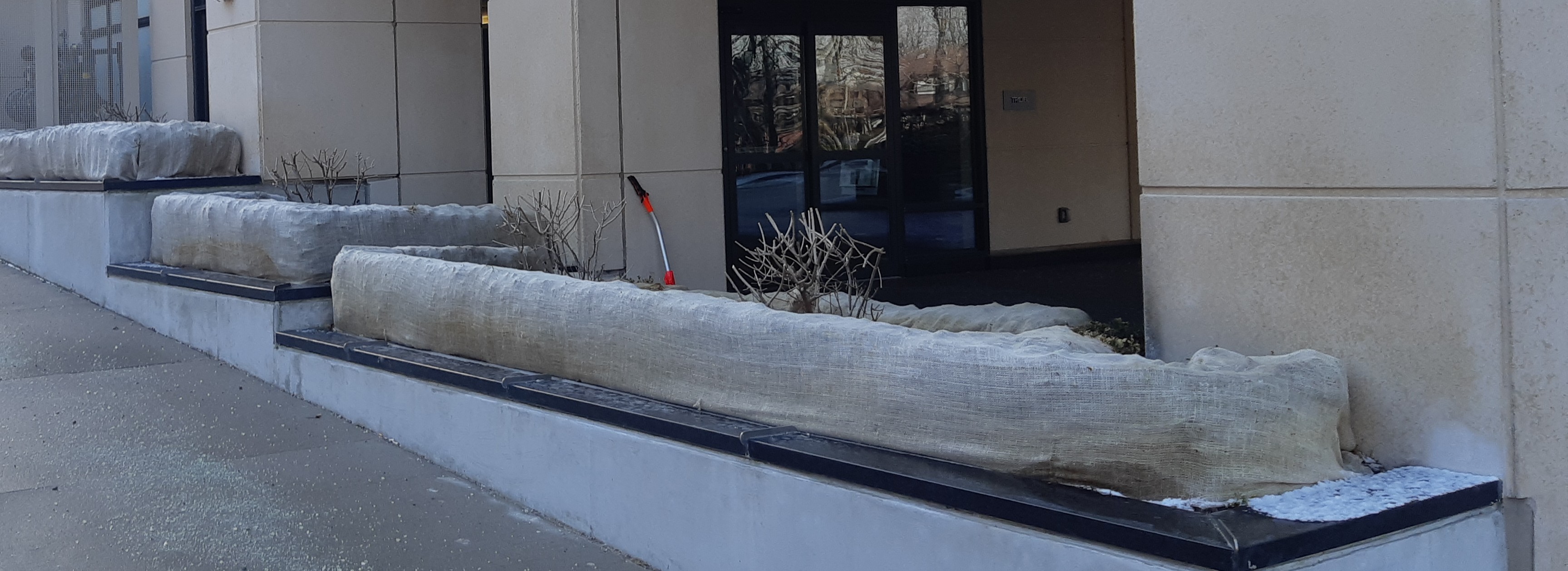 __wf_reserved_inherit