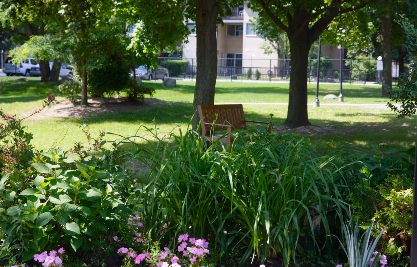 Garden Beds 