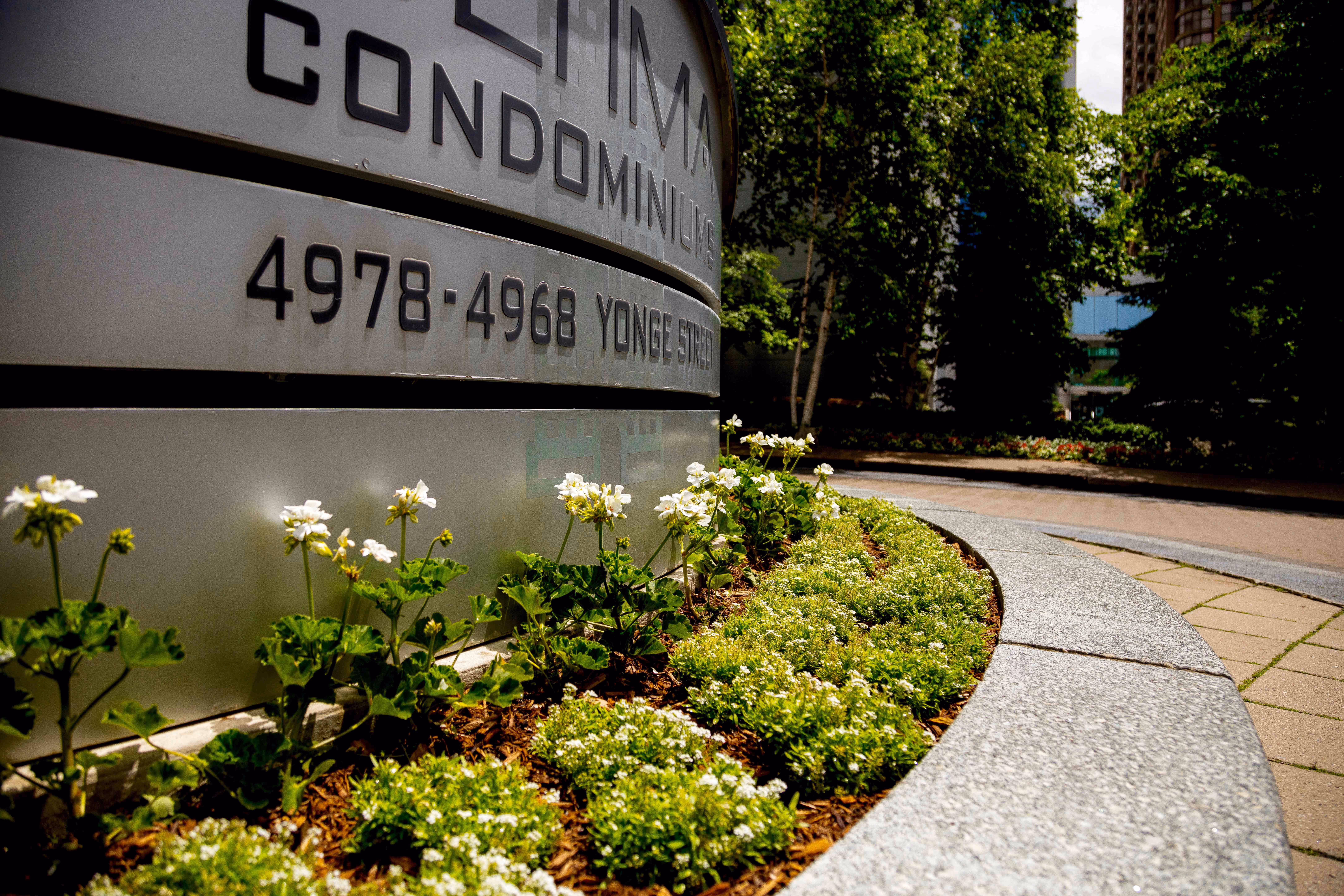 Small annuals garden bed planted in front of commercial property sign. Color matched