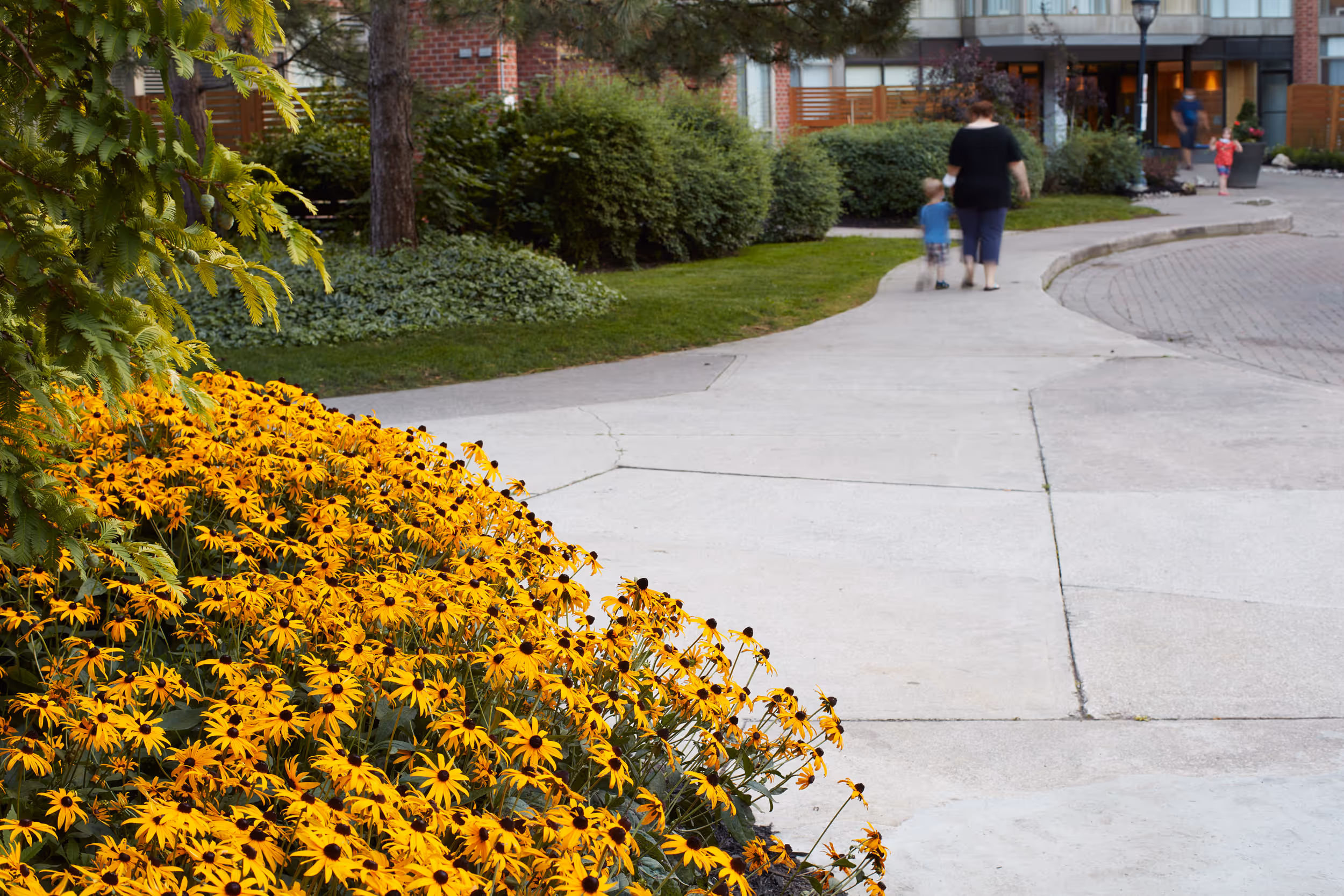 Walkway flanked by colorful flower beds showcasing stonework