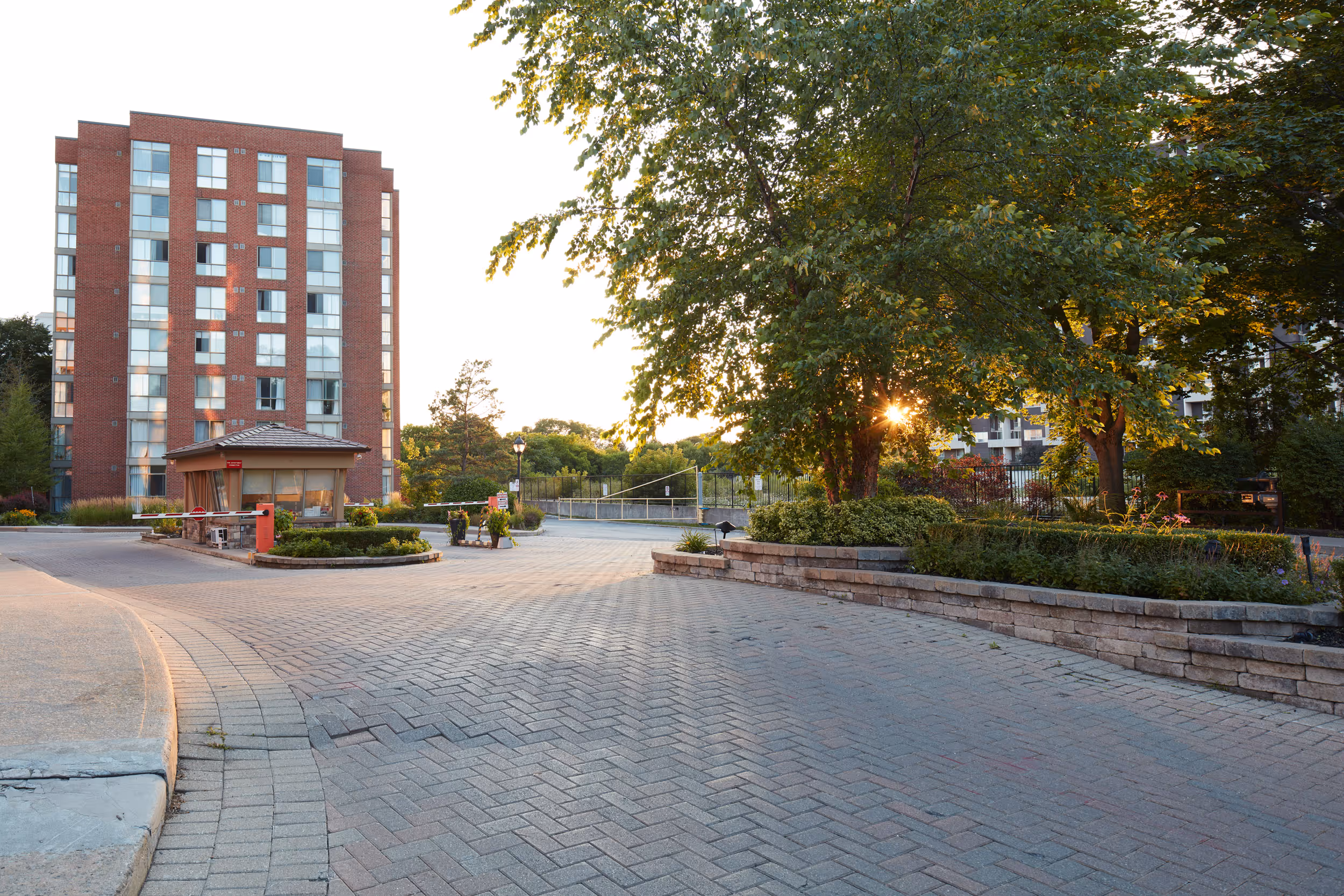Side angle view of building and garden beds