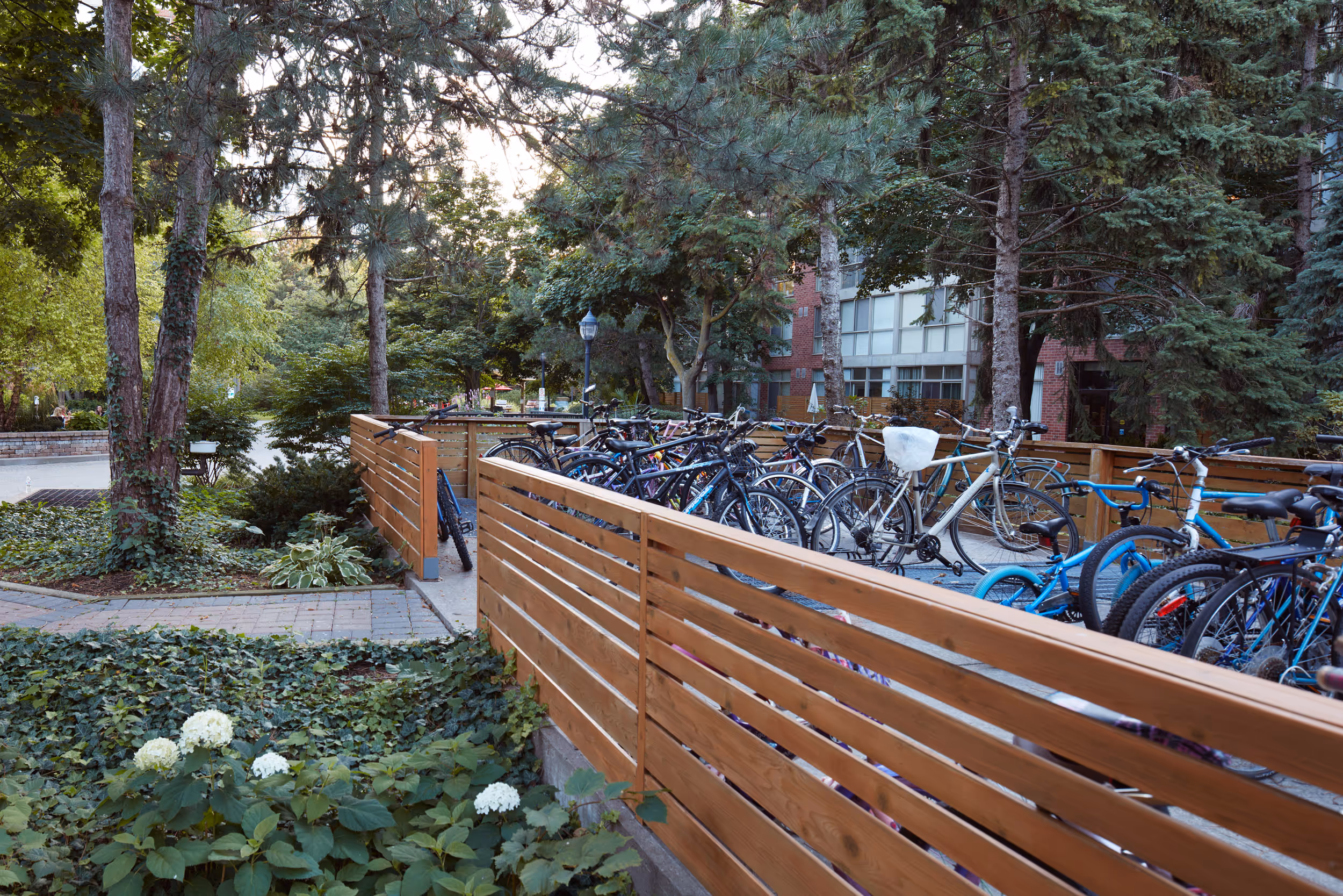 Bike Storage area with flower beds