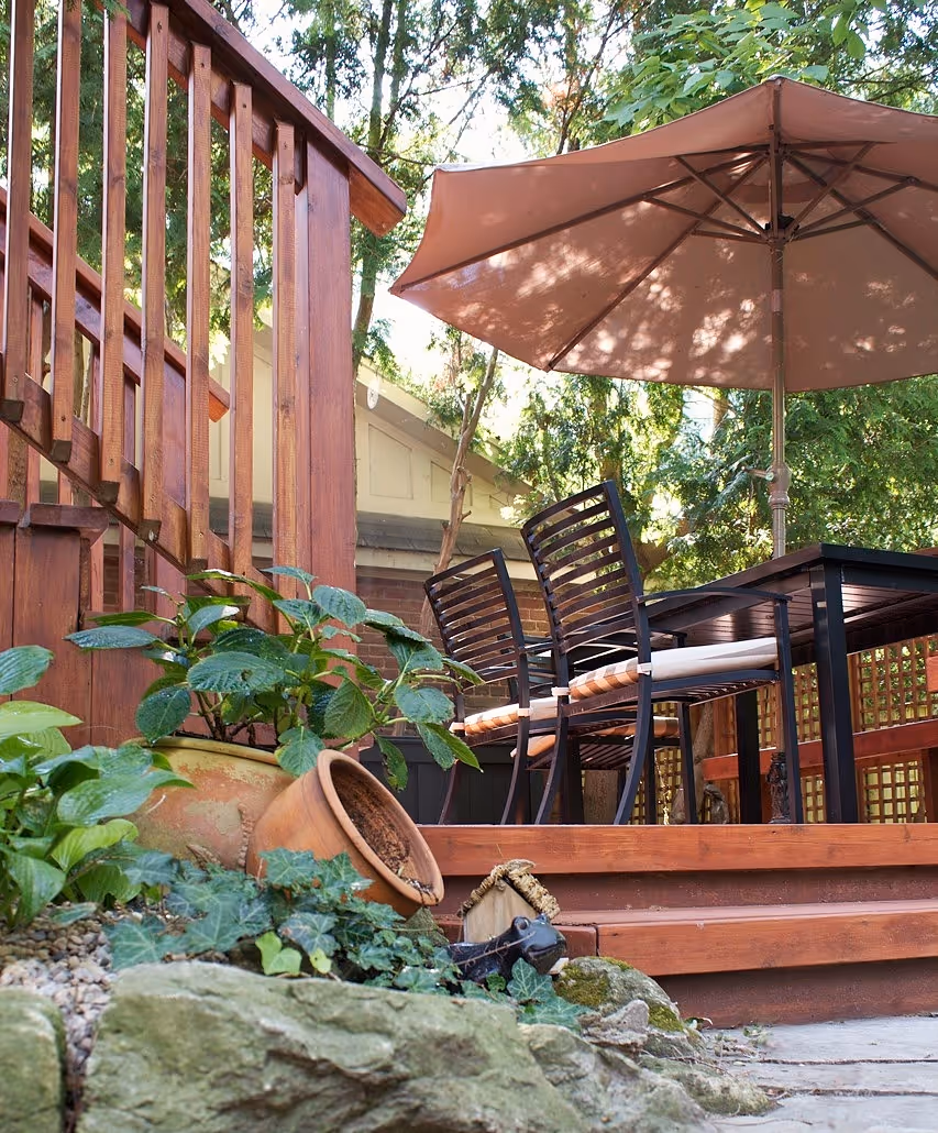 maple wood deck