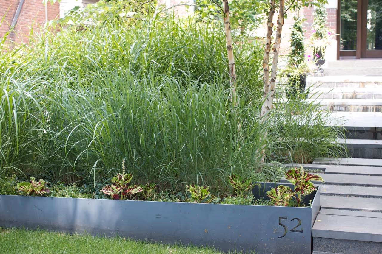 Ornate Metal Planters with tall grasses contained inside