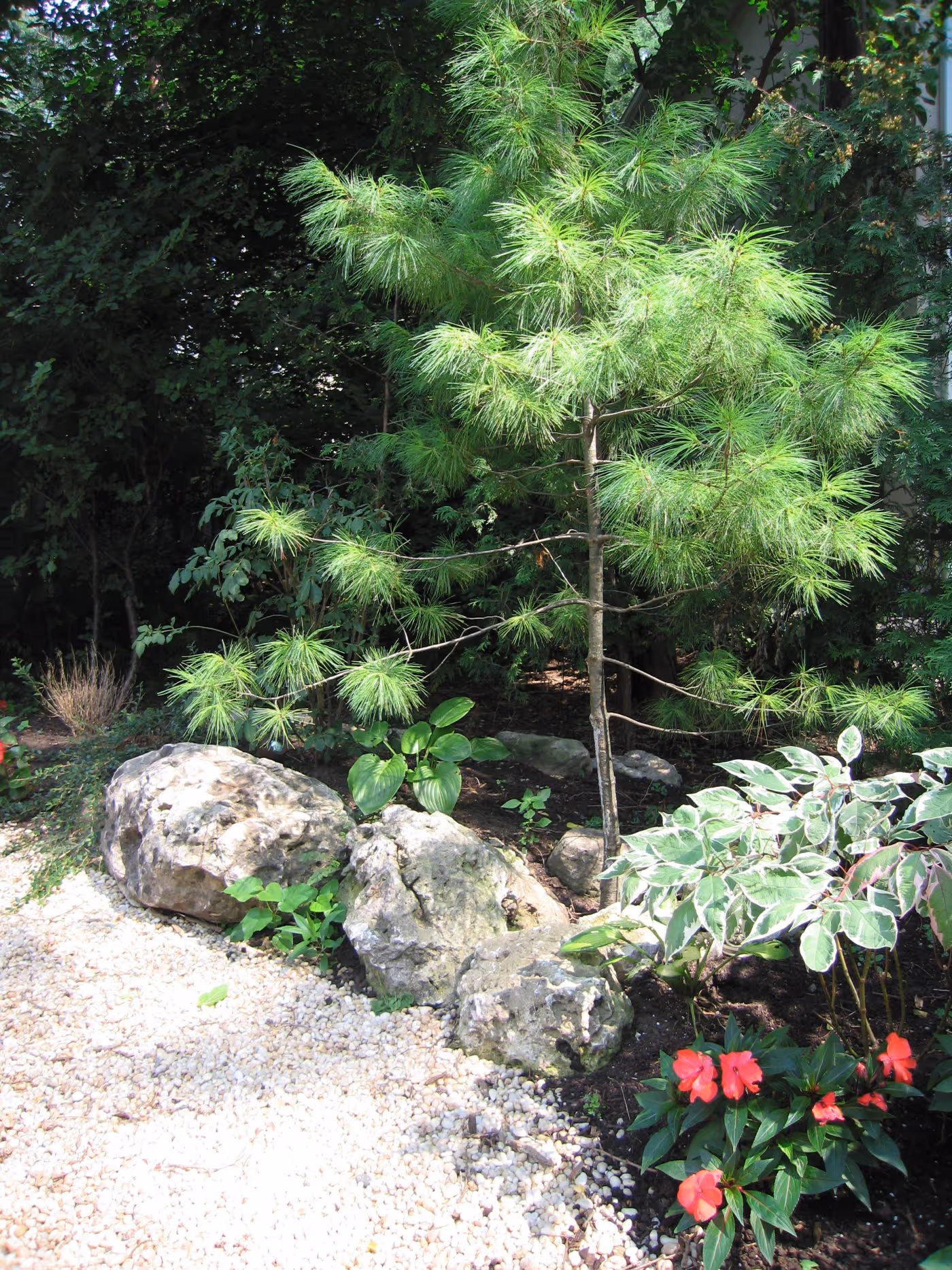 Natural garden beds with river rock