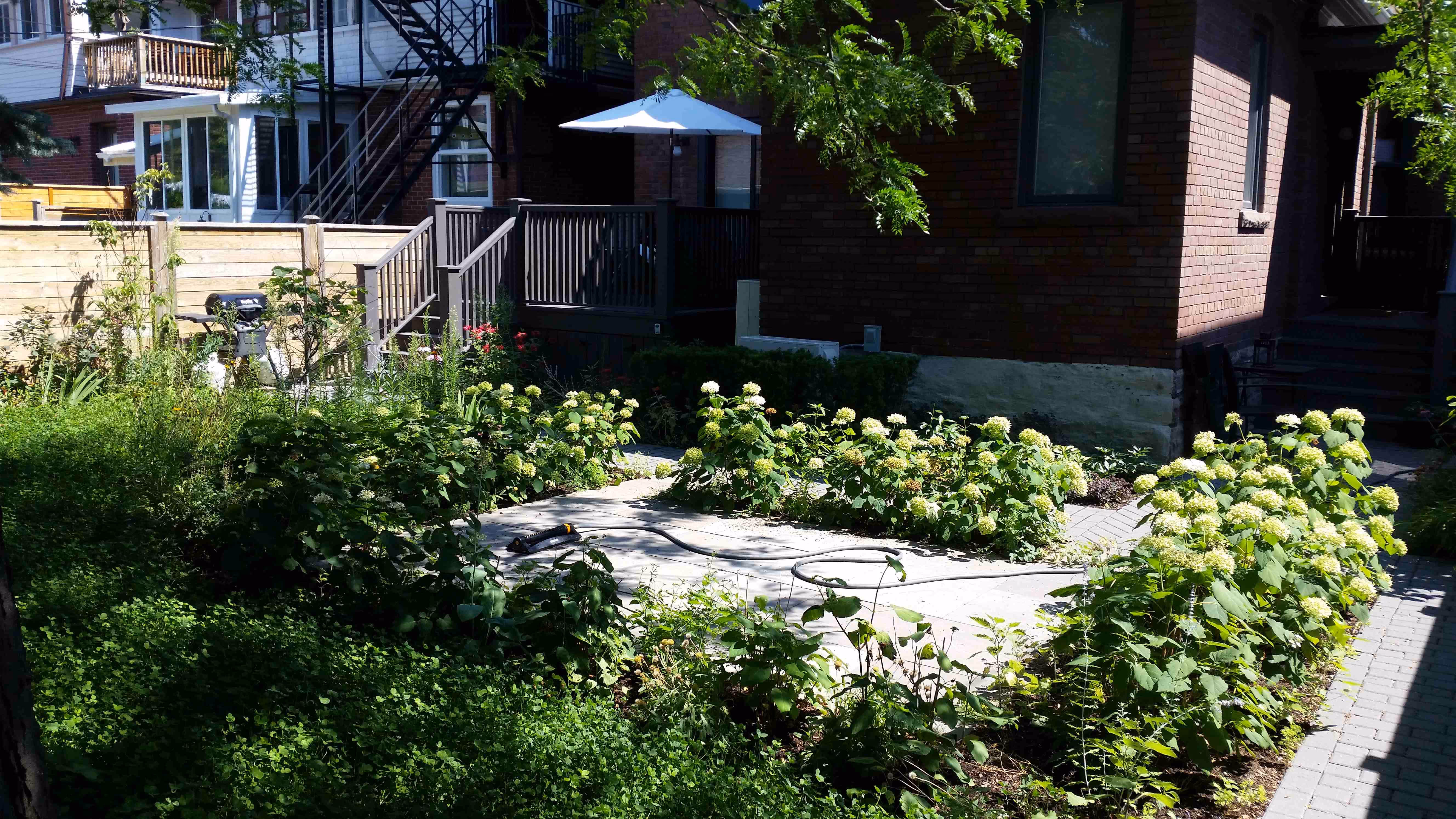 garden beds with stone pathway through it