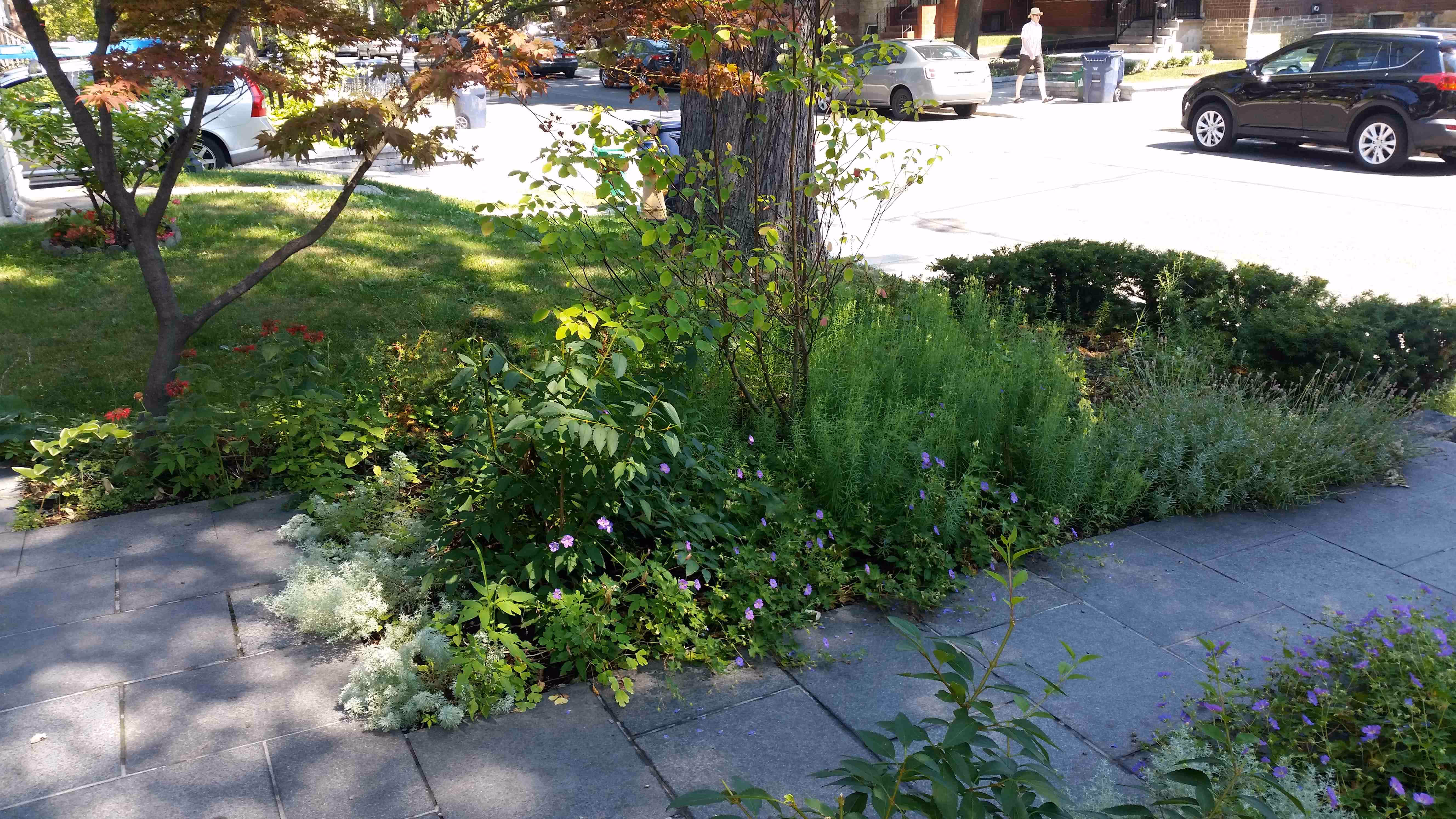 stone pathway