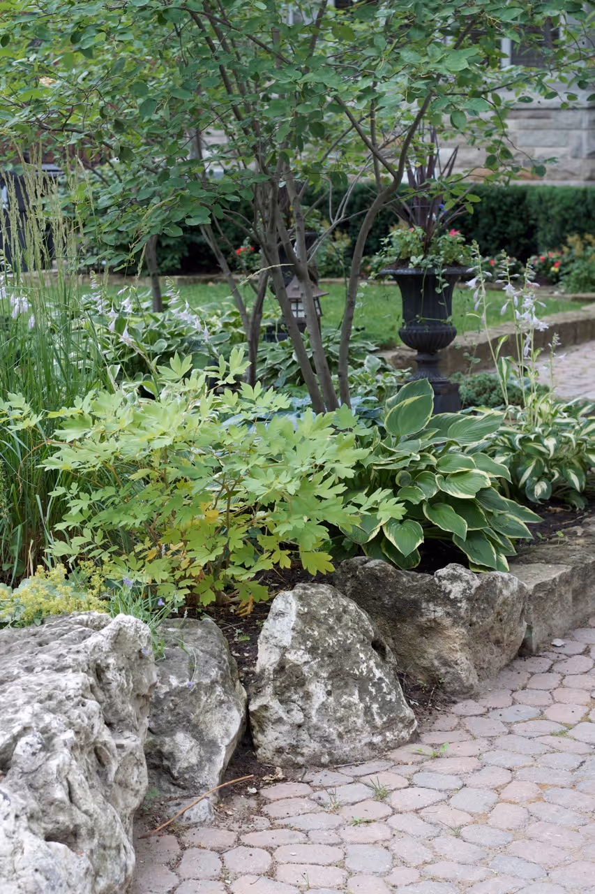 Large Natural stone containing gardens