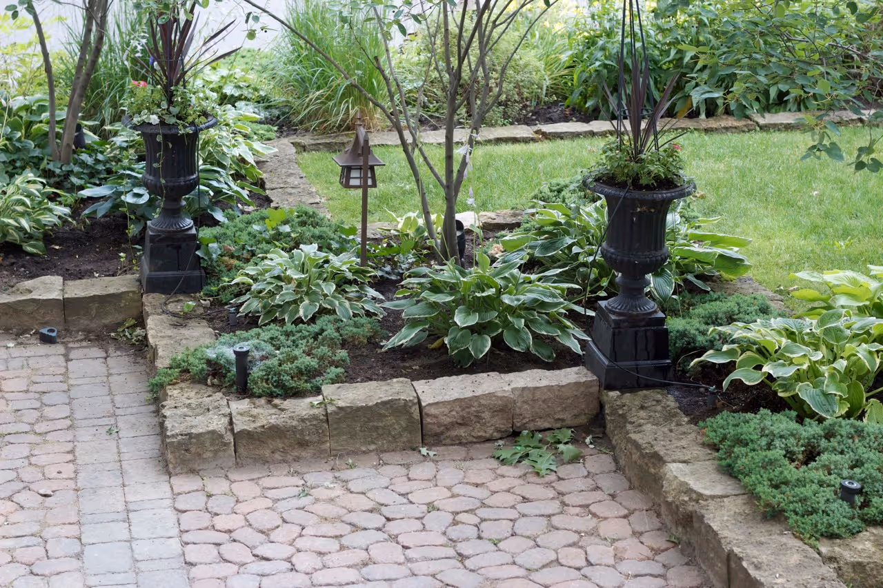 Interlock and very low retaining wall containing ground coverage plants