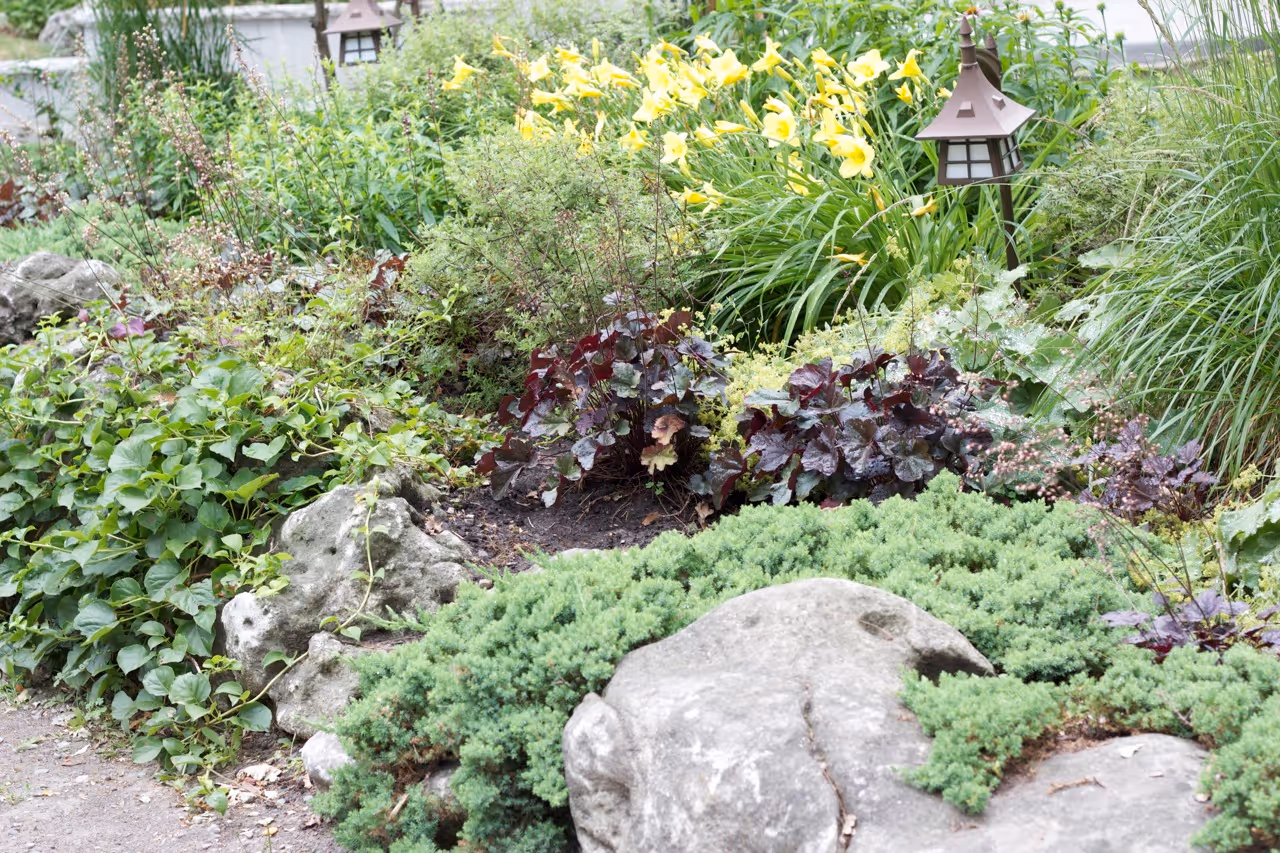Different angle of natural gardens with Ivy