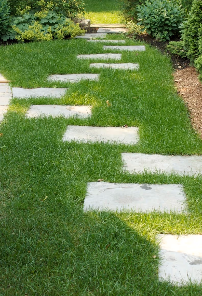 Stone Pathway Through the Lawn